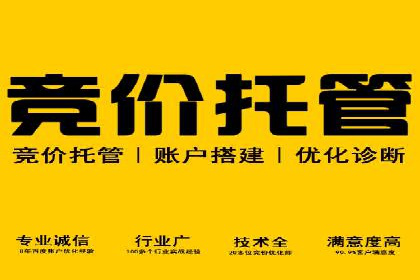 竞价推广实战案例：网络营销秘诀